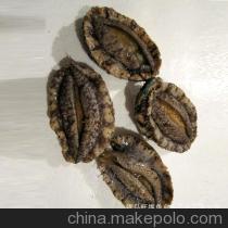 【青島直銷(xiāo) 海鮮 鮑魚(yú) 海鮮批發(fā) 鮑魚(yú)批發(fā)【圖】】?jī)r(jià)格,廠(chǎng)家,圖片,鮮活/冷凍水產(chǎn),青島旺福魚(yú)鄉(xiāng)水產(chǎn)品-