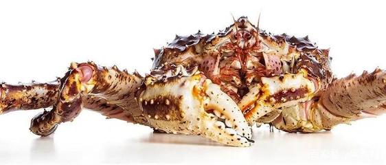 俄羅斯擴(kuò)大對(duì)華海鮮出口 比目魚與牡丹蝦的新機(jī)遇